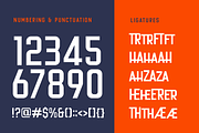 Cheapsman Sans Serif Display, a Sans Serif Font by Typetemp Studio (Thumbnail 20 of 22)