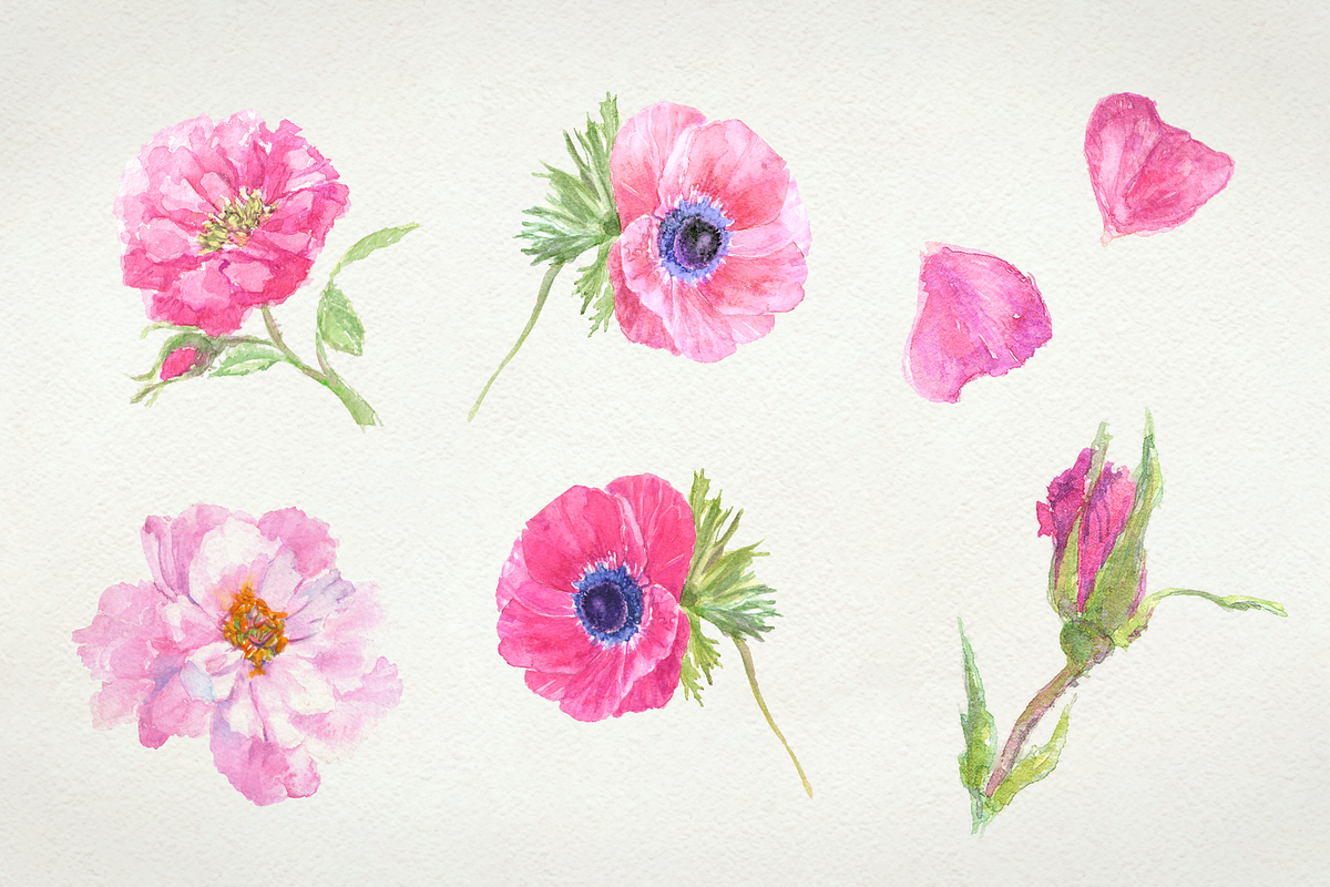 Flowers watercolor set, a Work Illustration by lapi-olesya (Photo 2 of 4)