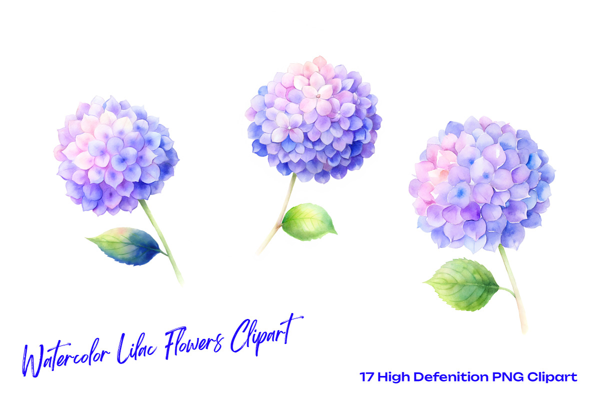 Watercolor Lilac Flowers Clipart, an Object Illustration by crafty (Photo 2 of 5)