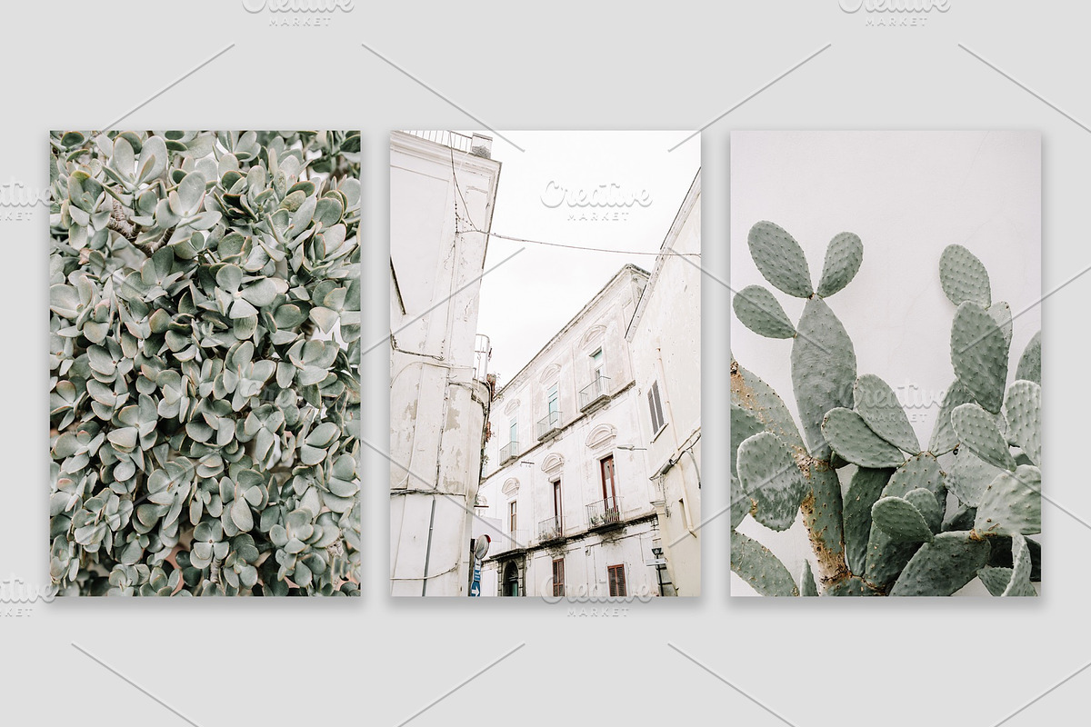 Lifestyle Bundles Collection 2, a Beauty & Fashion Photo by Floral Deco (Photo 8 of 66)