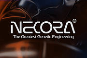 Donkey - Ligature Technology Font, a Sans Serif Font by TokoPress (Thumbnail 3 of 14)