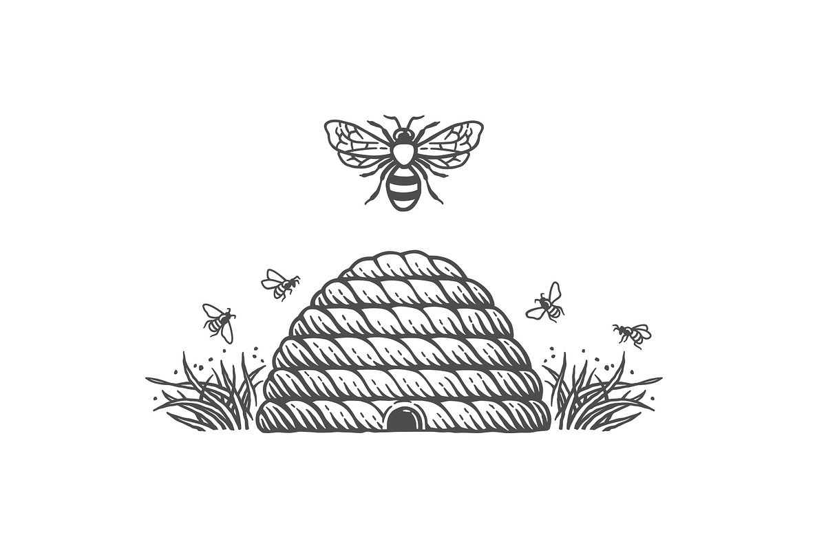 Beehive and bees, a Food Illustration by Irina Trusova