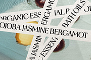 Stylish Aesthetic Typeface, a Sans Serif Font by Nicky Laatz (Thumbnail 8 of 29)