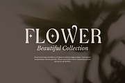 Botanics Display Variable, a Serif Font by Typetemp Studio (Thumbnail 3 of 11)