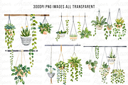 Hanging Plants Illustrations Png, a Decorative Illustration by Paper Artsthetics (Thumbnail 2 of 6)