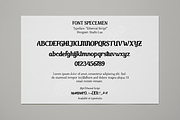 Neka - Elegant Modern Serif Typeface, a Font by Astuti Studio (Thumbnail 2 of 16)