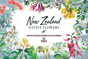 New Zealand native flowers