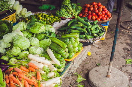The variety of vegetables in the, a Food & Drink Photo by Elizaveta Galitskaya