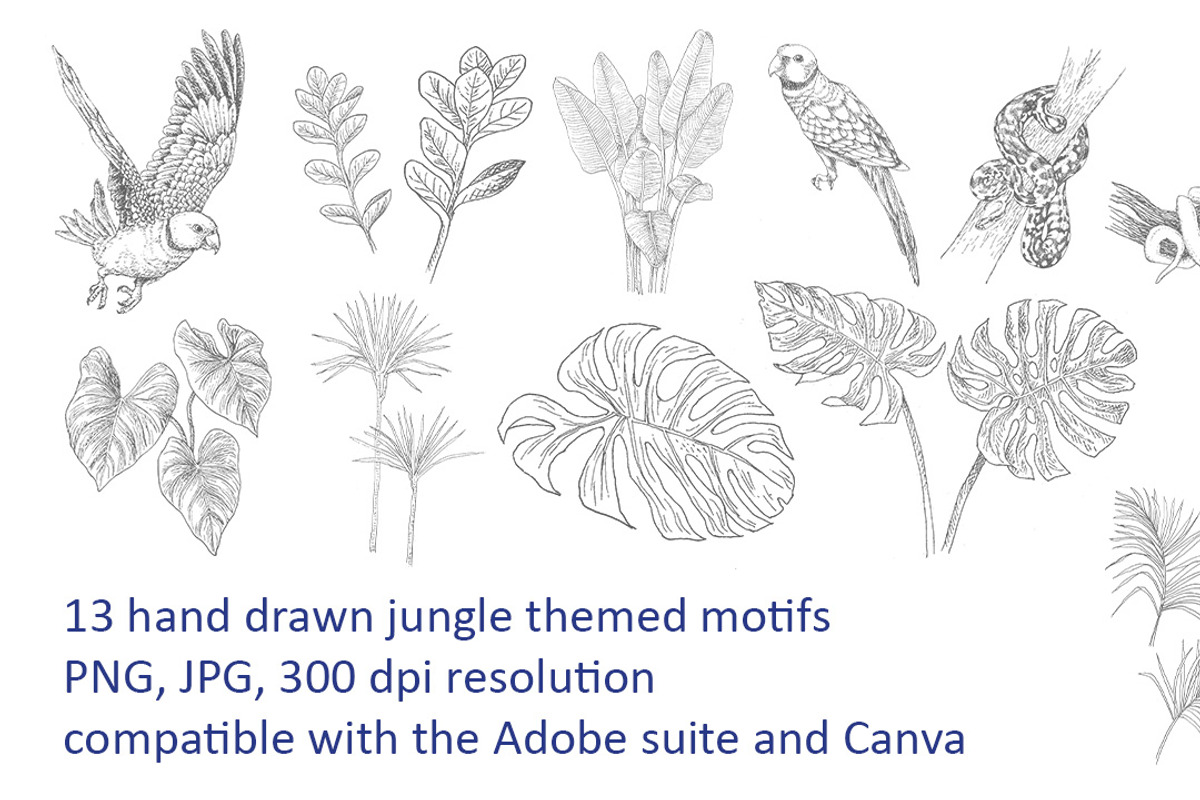 Jungle Toile de Jouy Pattern, a Pattern Graphic by Stylus & Bloom (Photo 5 of 8)