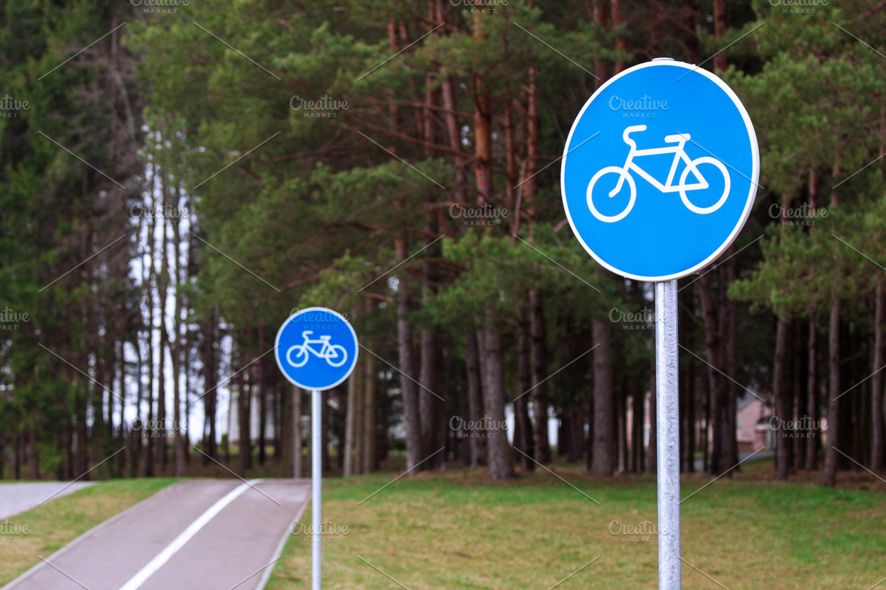 Bicycle path signs in a park, a Transportation Photo by BOOCYS