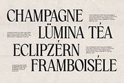 GC Amelie Promised – Italic Serif, a Serif Font by Glyphonic (Thumbnail 14 of 15)