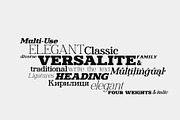 Ronald Gunfire Serif Font Family, a Slab Serif Font by Sentavio (Thumbnail 9 of 12)