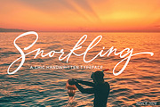 Southem Lettering, a Script Font by Rastype (Thumbnail 6 of 12)