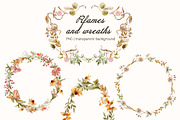 Autumn meadow Watercolor Floral, a Seasonal Illustration by Pattern + watercolor (Thumbnail 6 of 14)