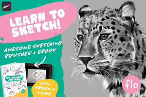 Ebook & Sketching Procreate Brushes
