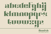 Remish, a Serif Font by RT Studio (Thumbnail 6 of 10)