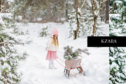 12 x Lightroom, Cinematic Winter, an Action Add-On by Kzara Visual Concepts (Thumbnail 9 of 13)