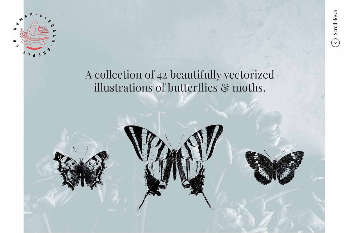 Vintage Bundle - 6600+ Illustrations, an Object Graphic by Nomad Visuals (Photo 25 of 46)