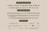 Mezaira Modern Serif Font, a Serif Font by timelesstype.co (Thumbnail 18 of 20)