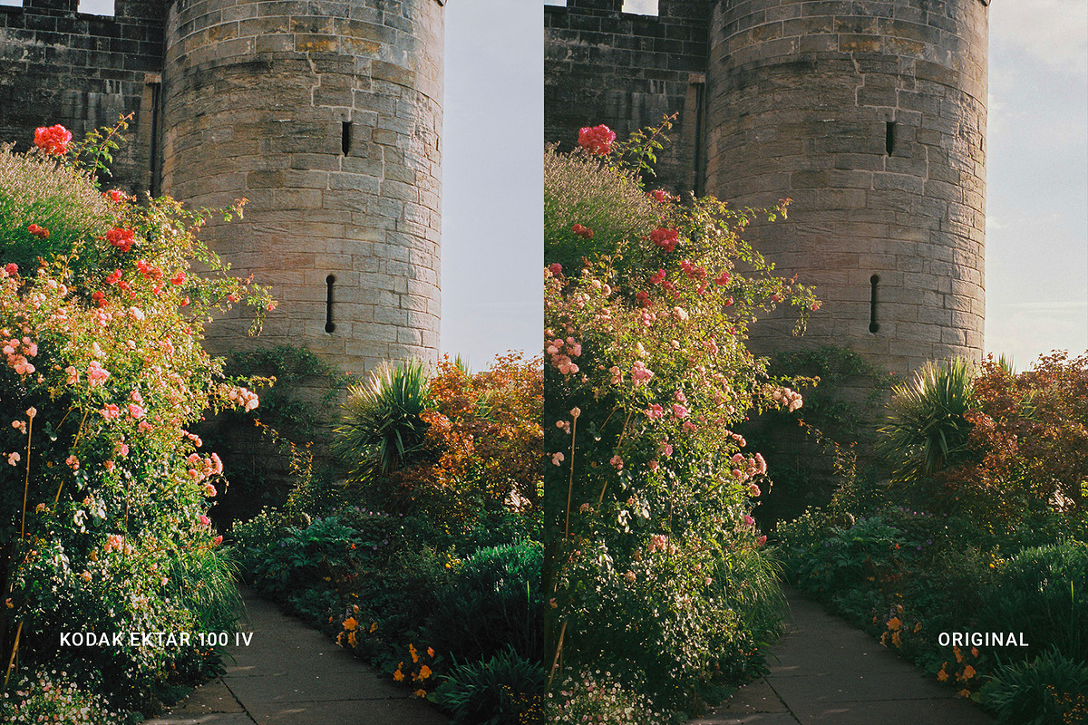 Kodak Ektar 100 IV, a Preset Add-On by colorituals (Photo 4 of 8)