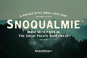 Snoqualmie - A Vintage Style Font, a Serif Font by Komet & Flicker (Thumbnail 1 of 15)