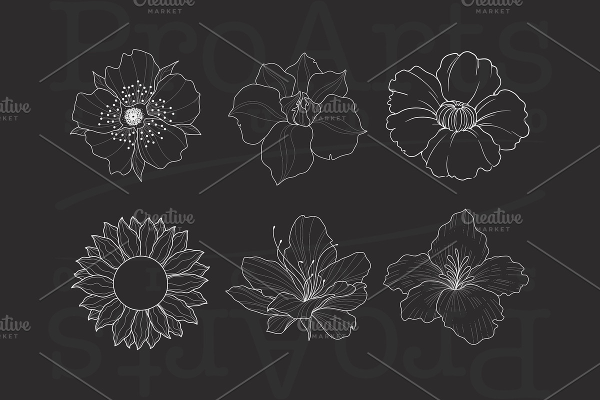 Ornament + Flowers, Pattern + Flower, a Brush Add-On by Lucrumplus (Photo 3 of 10)