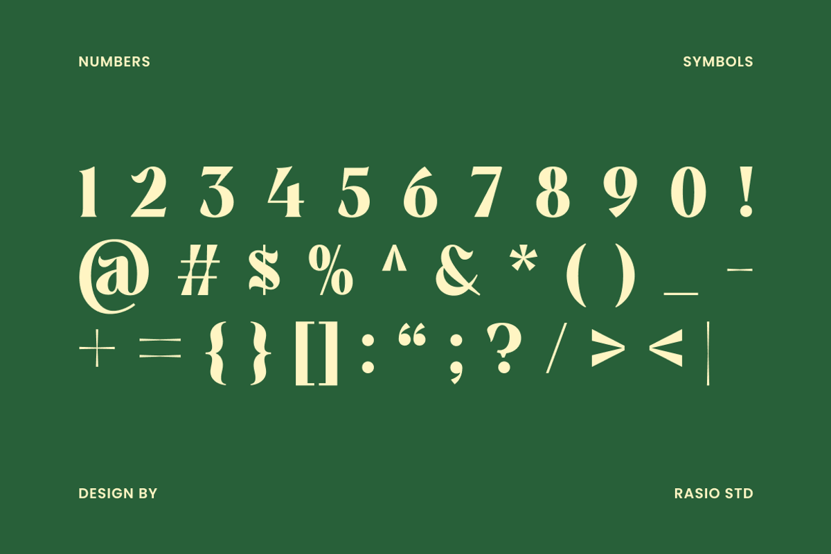 Montrielle Modern Editorial Font, a Serif Font by Rasio Studio (Photo 3 of 9)