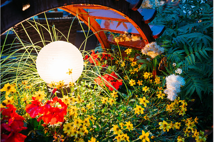 Decorative Small Garden Light, a Nature Photo by Our Amazing World