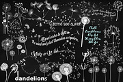 Chalk Dandelions & Overlays Clip Art, an Illustration by FrankiesDaughtersDesign (Thumbnail 1 of 6)