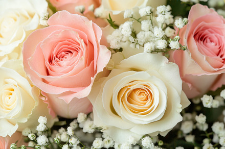 Closeup of a beautiful bouquet featu, a Photo by Iftikhar Alam