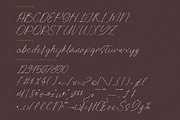 Quality Nosting Modern Signature, a Script Font by Letterena Studios Script (Thumbnail 13 of 15)