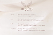 Elegant serif font family Angele, a Serif Font by Angele Kamp (Thumbnail 9 of 9)