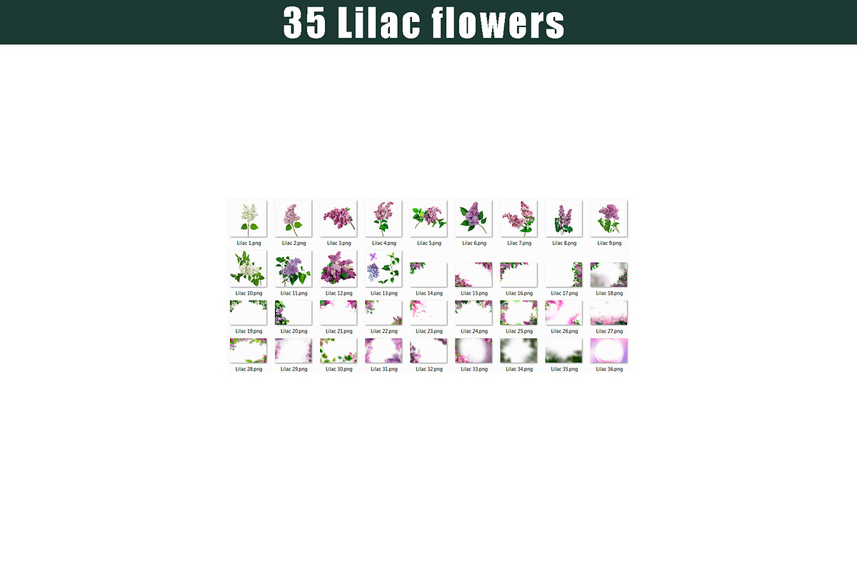 35 Lilac flower photo overlays,, a Layer Style Add-On by OverlayBox (Photo 4 of 5)