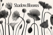 Shadow Blooms, an Object Graphic by Dina Mae (Thumbnail 1 of 10)