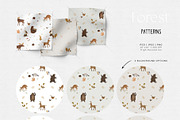 Forest animals. Alphabet & Patterns, an Animal Illustration by annartdreams (Thumbnail 4 of 11)