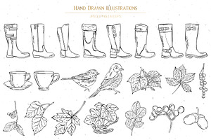 Birds, Leaves, Boots Illustrations