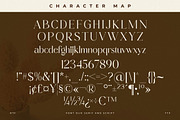 Primrose Essentials Font Duo, a Serif Font by Storytype Studio (Thumbnail 13 of 15)