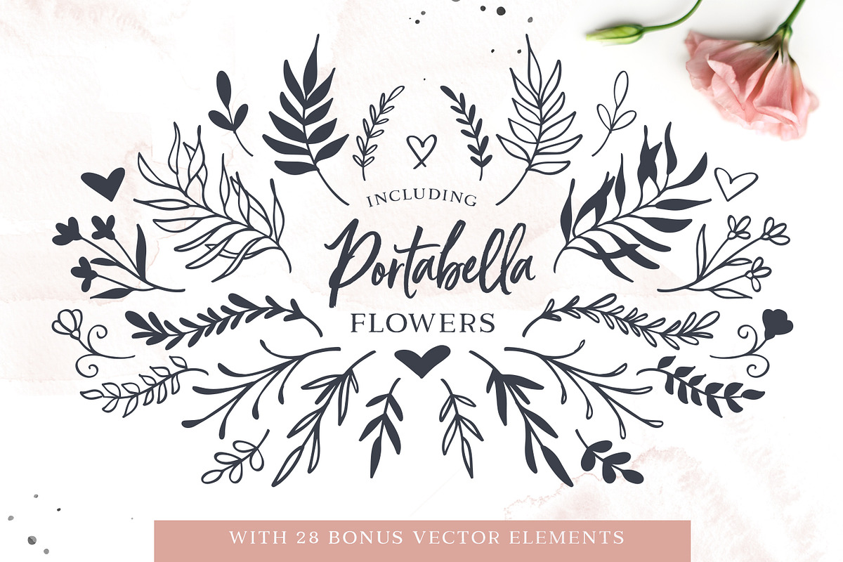 Portabella Font Collection, a Script Font by Callie Rian & Co. (Photo 17 of 19)