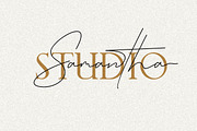 Queenstown 2 Font Signature & serif, a Script Font by typeline studio (Thumbnail 11 of 14)