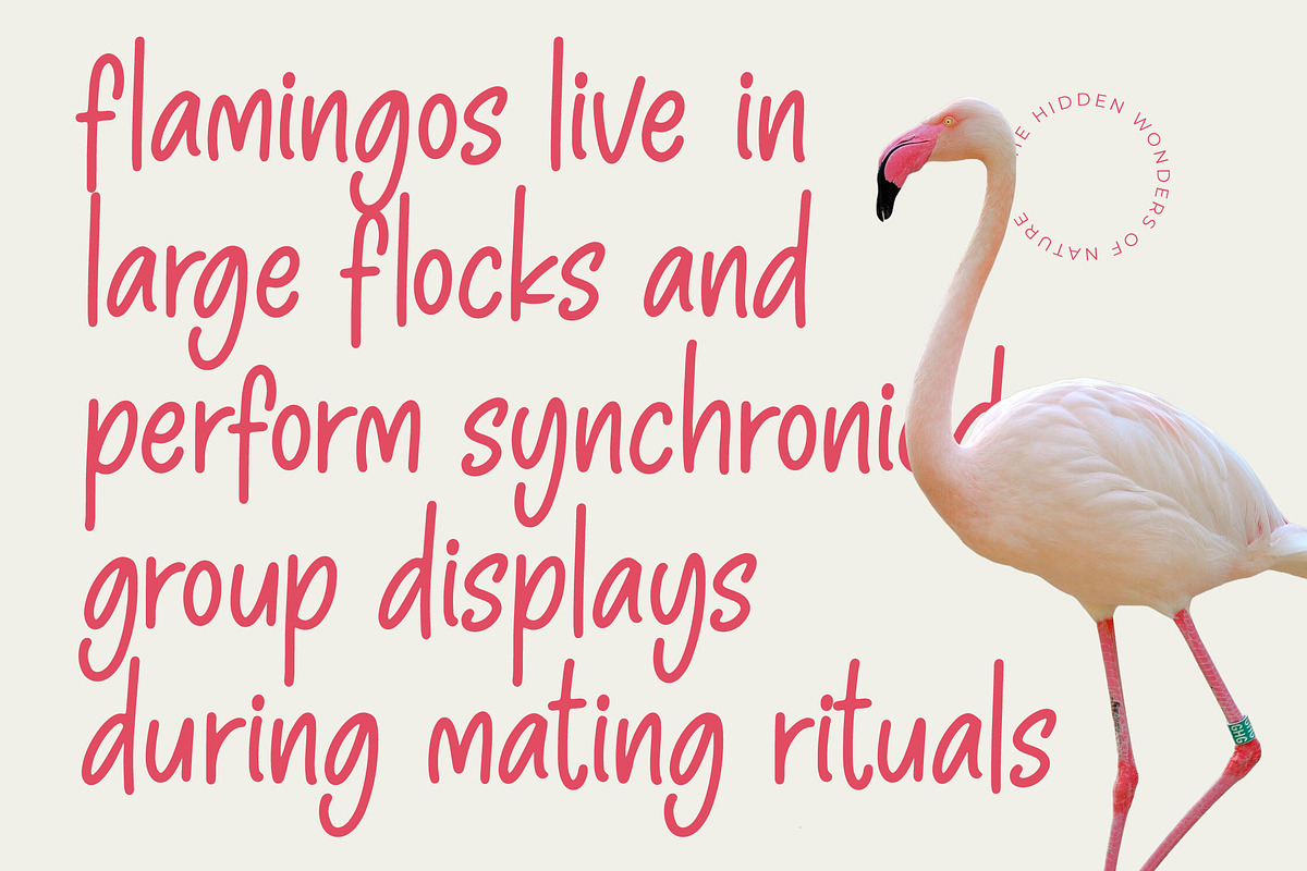 Pinky Doodle Natural Handwritten, a Script Font by Letterena Studios Script (Photo 9 of 20)