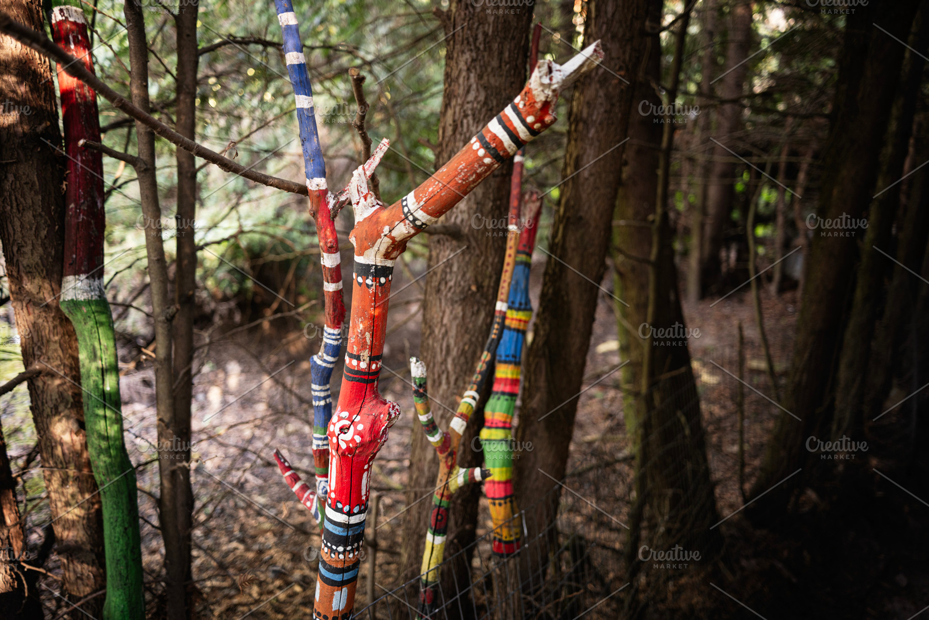 Colorful painted tree branches in a wooded natural outdoor environment, a Photo by AS photostudio