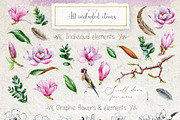 Pink Magnolia Watercolor Collection, a Decorative Illustration by AnitaPol (Thumbnail 13 of 14)