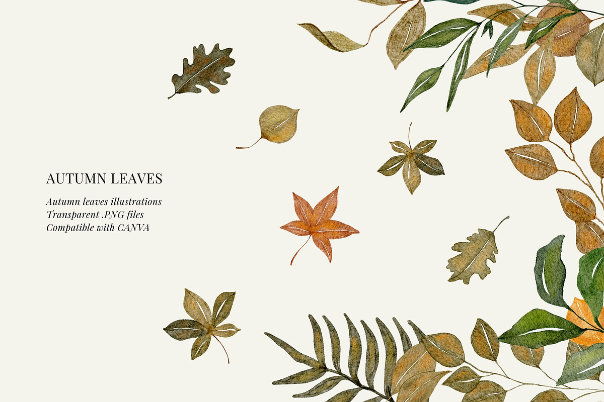 Fall watercolor illustrations, a Seasonal Illustration by AS Studio (Photo 2 of 5)