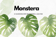 4 Monstera Botanical Illustrations, an Object Graphic by Helga Wigandt (Thumbnail 1 of 5)