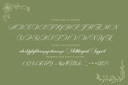 Carista Calligraphy, a Script Font by Pista Mova (Thumbnail 3 of 10)