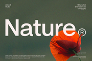 ZT Nature Sans - 18 Font & Variable, a Sans Serif Font by zelow type (Thumbnail 1 of 11)