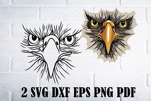 Eagle svg png dxf, bird clipart
