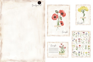 Watercolor Field Flowers Collection