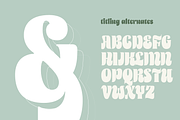 Stanlow, a Serif Font by Adam Fathony (Thumbnail 3 of 17)