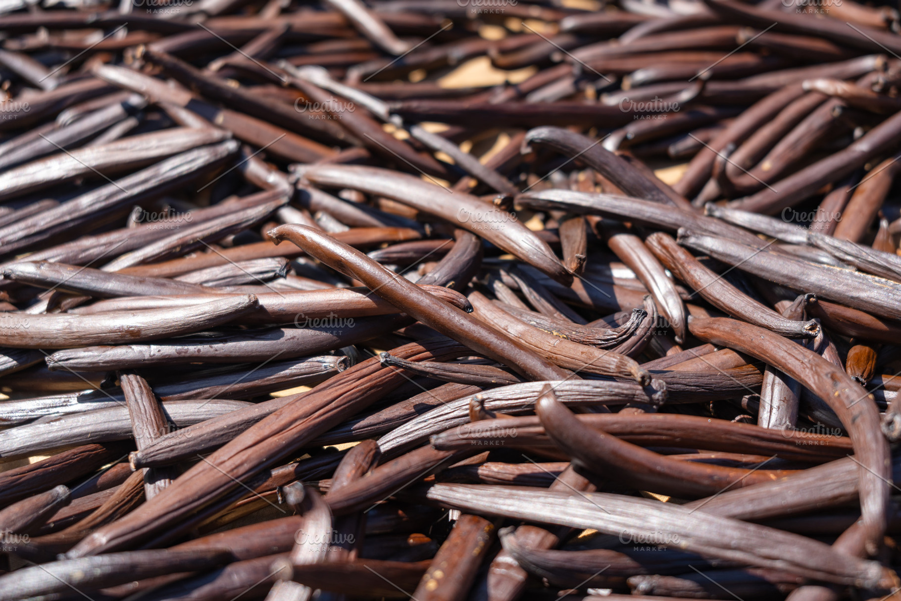 Fresh Tahitian Vanilla Pods Drying on Tahaa Island, French Polyn, a Food & Drink Photo by GoodGoods